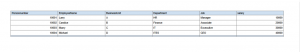 Output-of-Report--Creation-of-BIP-Report-In-Oracle-Fusion