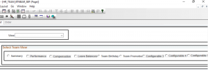 PeopleSoft HCM - Personalize My Team for Manager - HR_TEAM_BTNBAR_SBF Page
