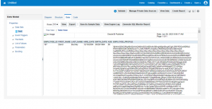 Running-the-sql-query