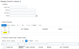 Bulk Import of Lookup TypesCodes Using File Based Loader in HCM Cloud - 9