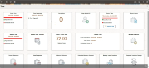 Configure Quick-Fill and Admin Access for Time and Labor in PeopleSoft HCM PUM 52 - Fig 1: Specific Quick-Fill entries