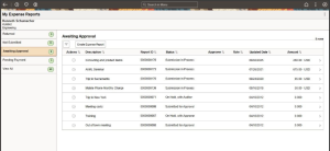 PeopleSoft FSCM Image 53: Requester Dashboard & Approval Statuses 