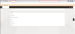 How to Create Custom Pages Using Fragments in Visual Builder Studio (VBS) 