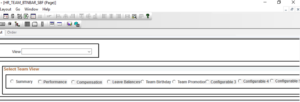 PeopleSoft HCM - Personalize My Team for Manager - HR_TEAM_BTNBAR_SBF Page