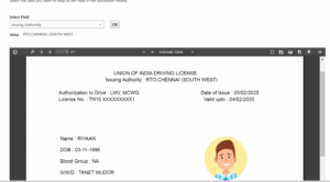 dor-hcm-parsing-8