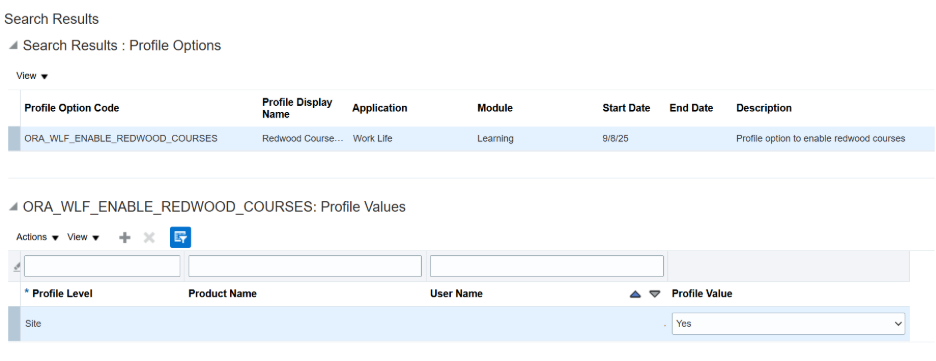 Generative AI in Oracle Learning Cloud: Transforming Learning Content Creation - Profile Options and AI Feature Enablement